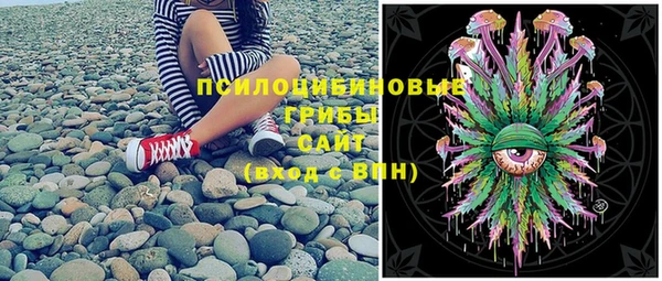 СК Пенза