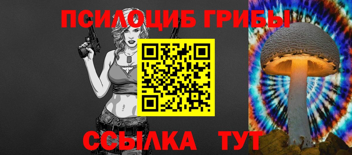 Псилоцибиновые грибы Psilocybe Тверь
